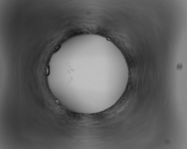 X0000102841057200809021331