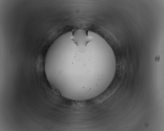 X0000102841058200809021331