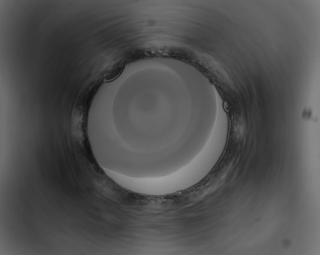 X0000102841060200809021331