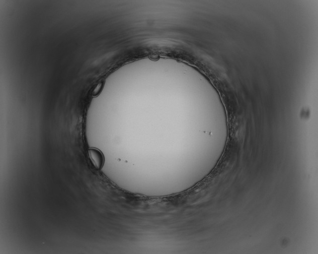 X0000102841061200809021331