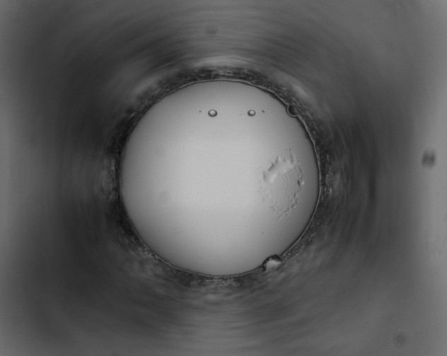 X0000102841062200809021331