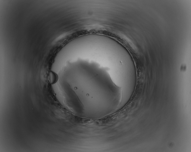 X0000102841063200809021331