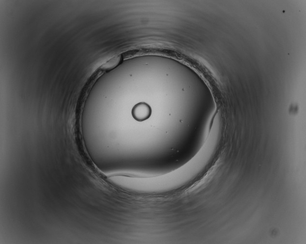 X0000102841065200809021331