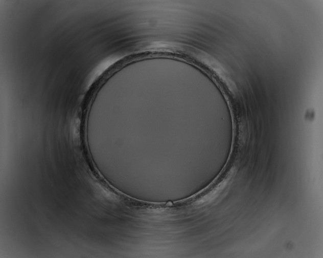 X0000102841066200809021331