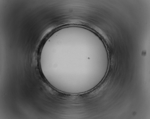 X0000102841067200809021331