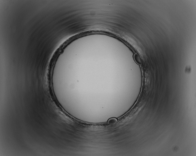 X0000102841068200809021331