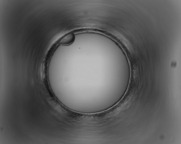 X0000102841069200809021331