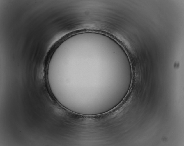 X0000102841070200809021331