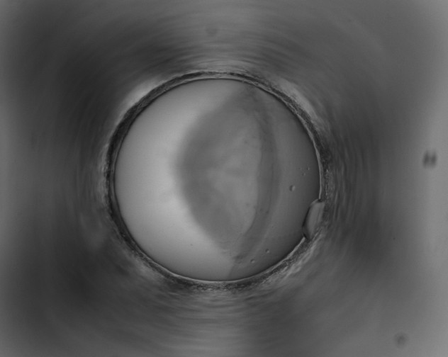 X0000102841071200809021331