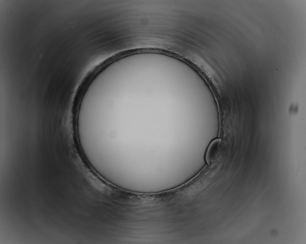 X0000102841072200809021331