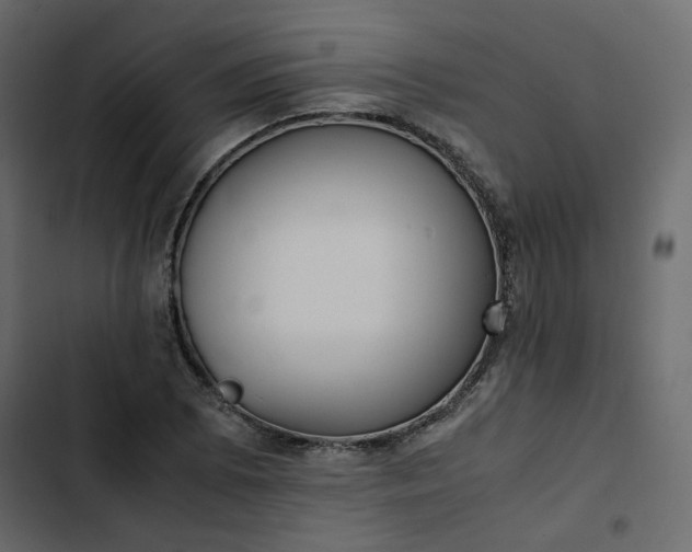 X0000102841073200809021331