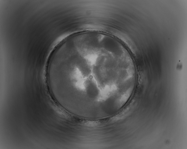 X0000102841074200809021331