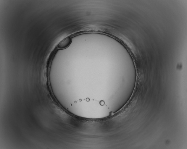 X0000102841075200809021331