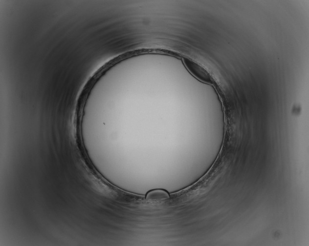 X0000102841076200809021331