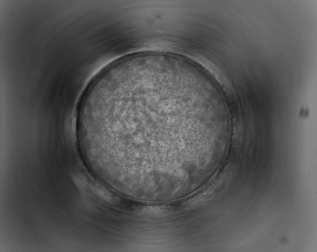 X0000102841078200809021331