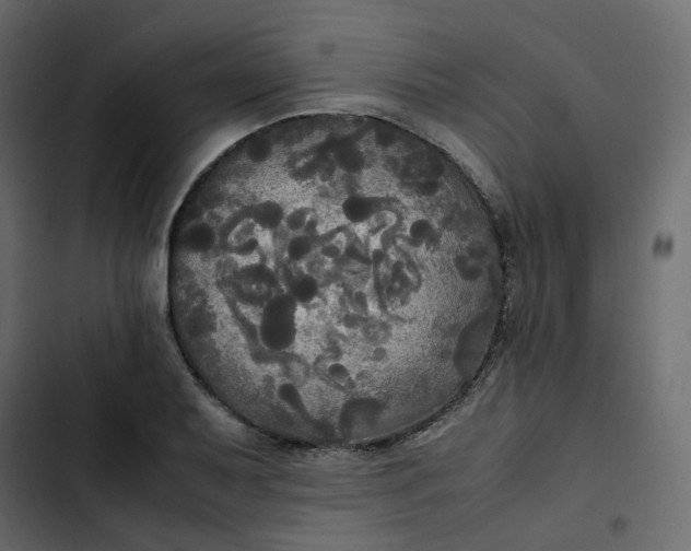 X0000102841079200809021331