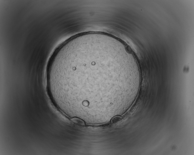 X0000102841080200809021331