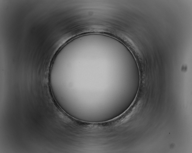 X0000102841081200809021331