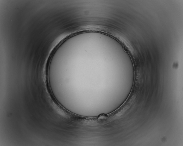 X0000102841082200809021331