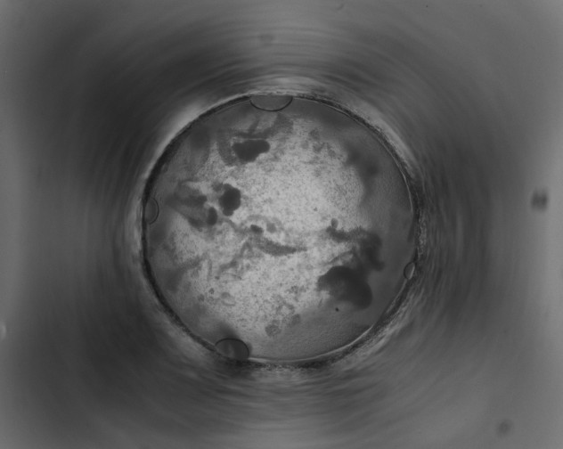 X0000102841083200809021331