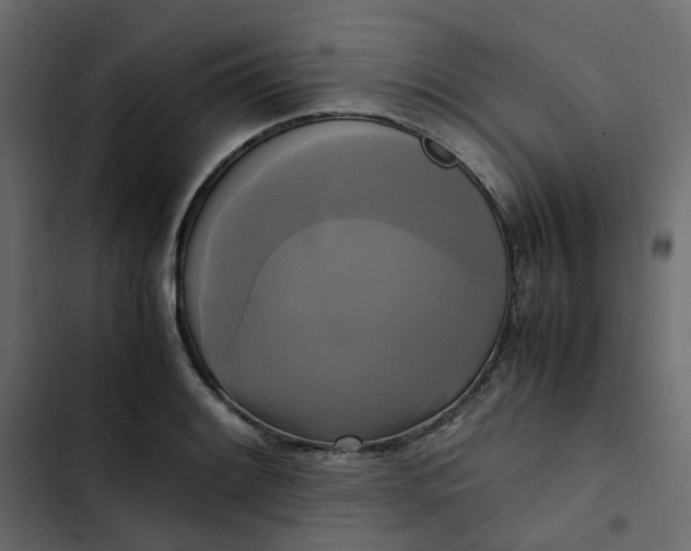 X0000102841084200809021331