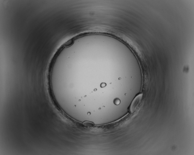 X0000102841085200809021331