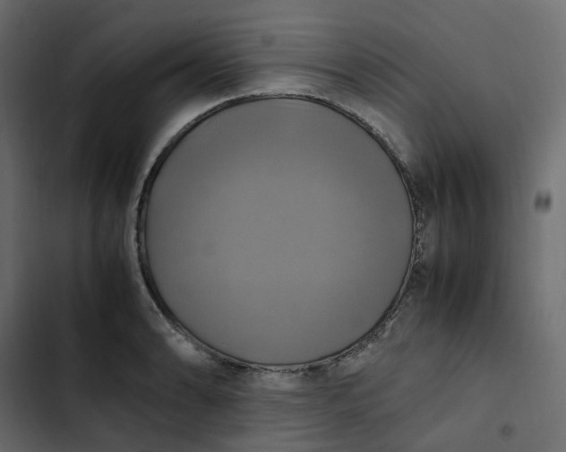 X0000102841086200809021331