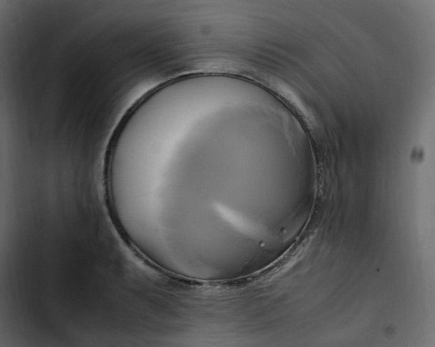 X0000102841087200809021331