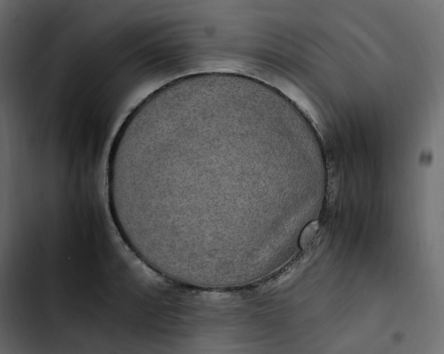 X0000102841088200809021331