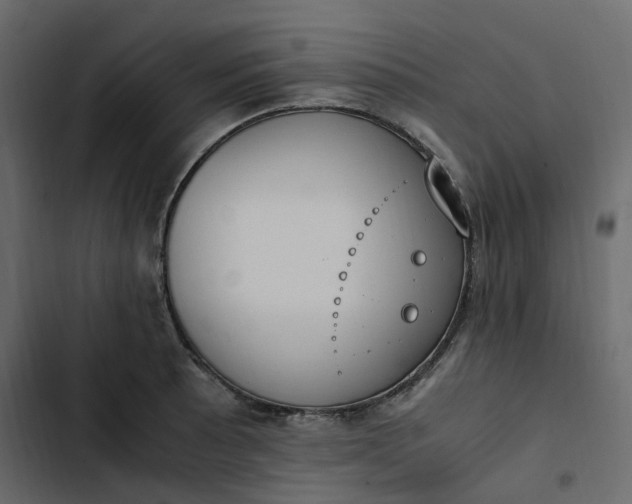 X0000102841089200809021331