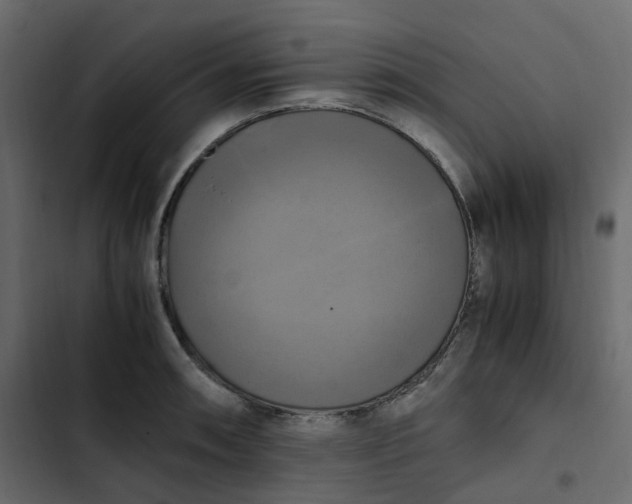 X0000102841090200809021331