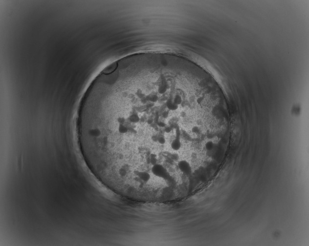 X0000102841091200809021331