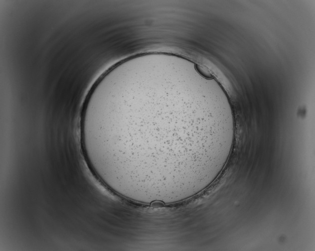 X0000102841092200809021331