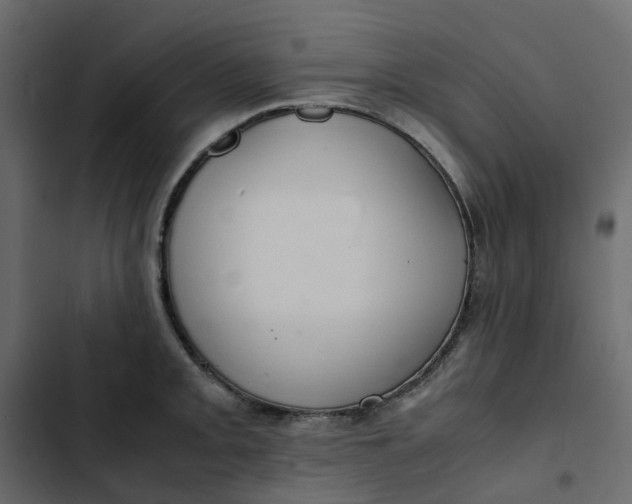 X0000102841093200809021331