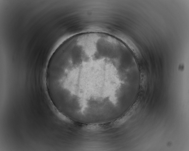 X0000102841094200809021331