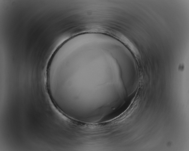 X0000102841095200809021331