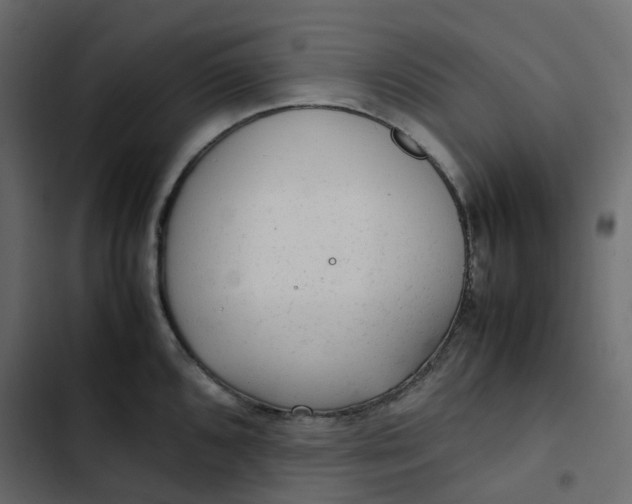 X0000102841096200809021331