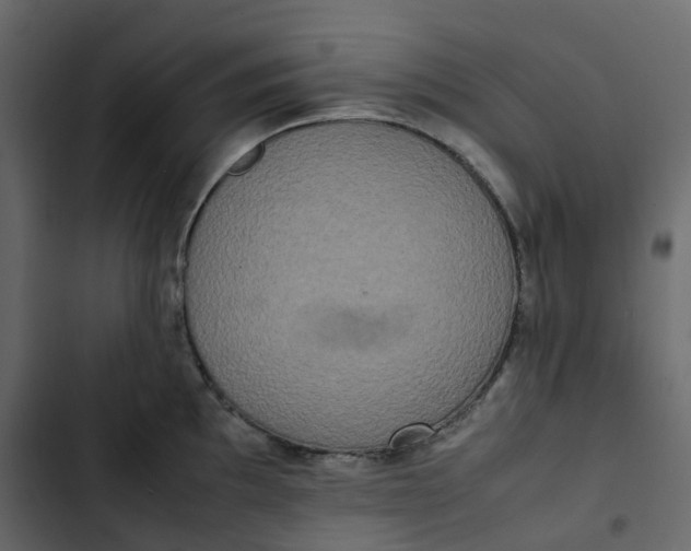 X0000102841097200809021331