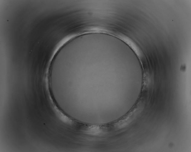 X0000102841098200809021330