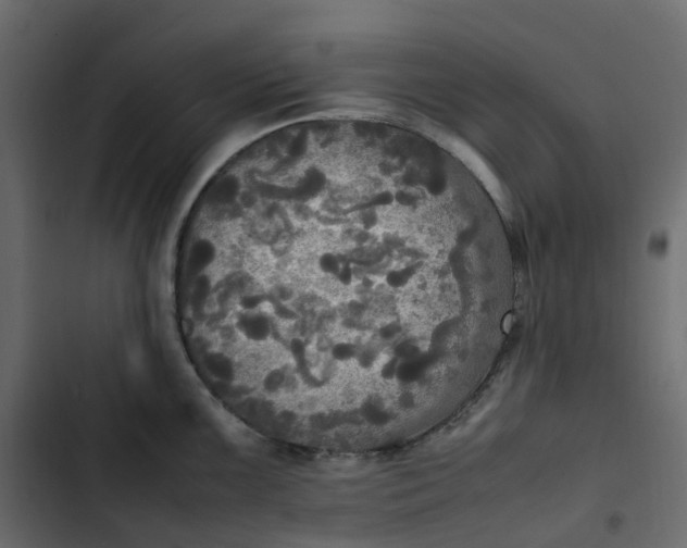 X0000102841099200809021330