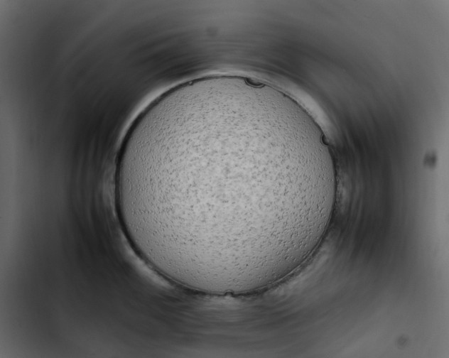 X0000102841100200809021330