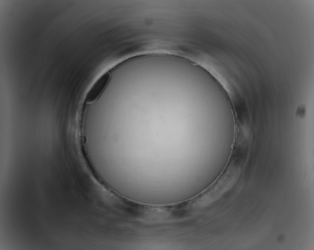 X0000102841101200809021330