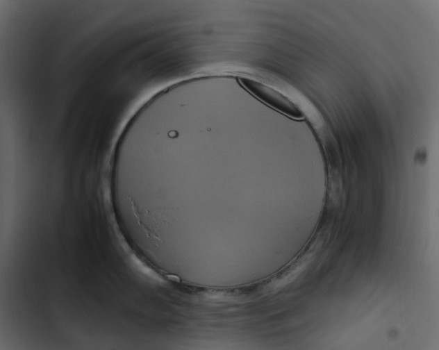 X0000102841102200809021330