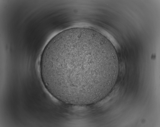 X0000102841103200809021330