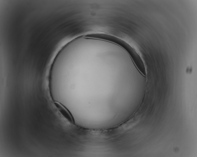 X0000102841104200809021330