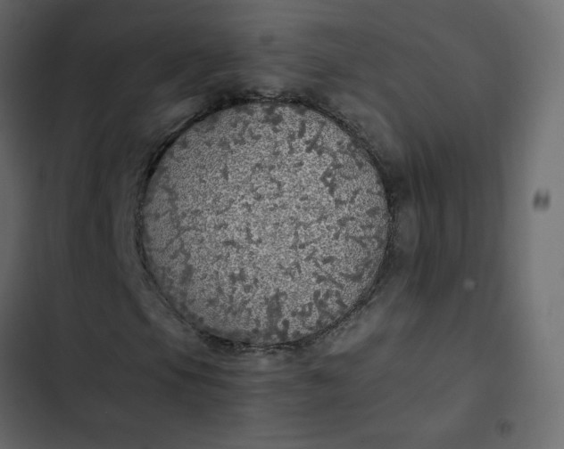 X0000102841105200809021330