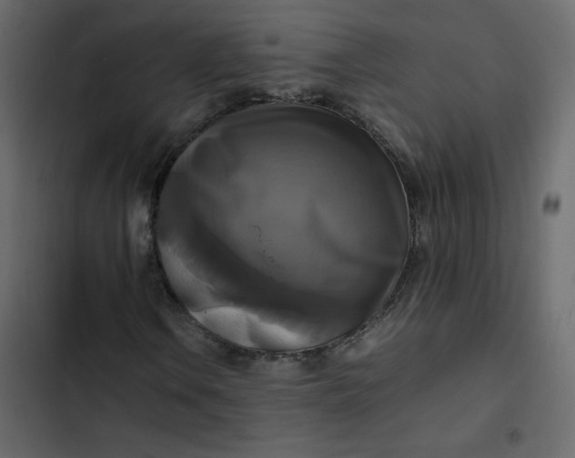 X0000102841106200809021330