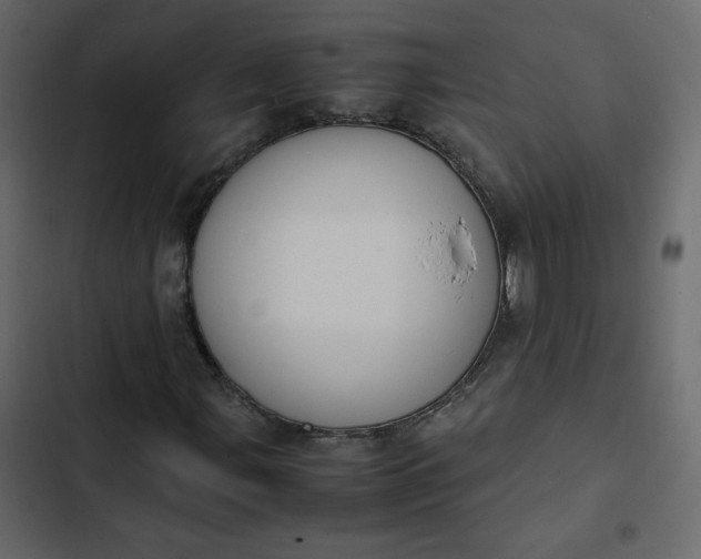 X0000102841107200809021330