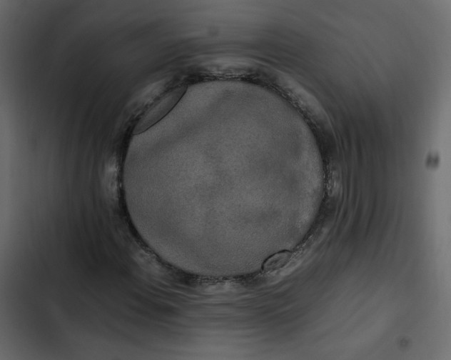 X0000102841108200809021330