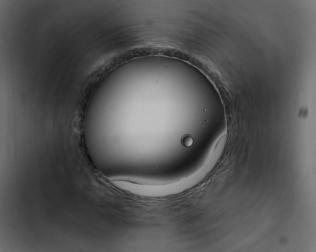 X0000102841110200809021330